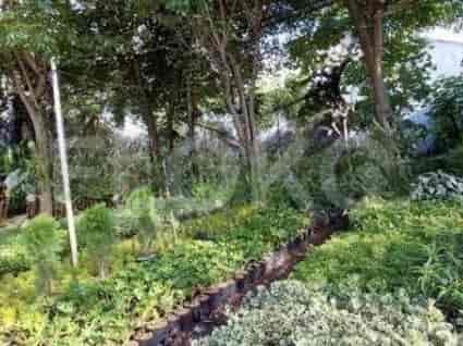 Dijual Tanah Luas 470 m2 di Jl Raya Utama, Meruya - TNS70a 2