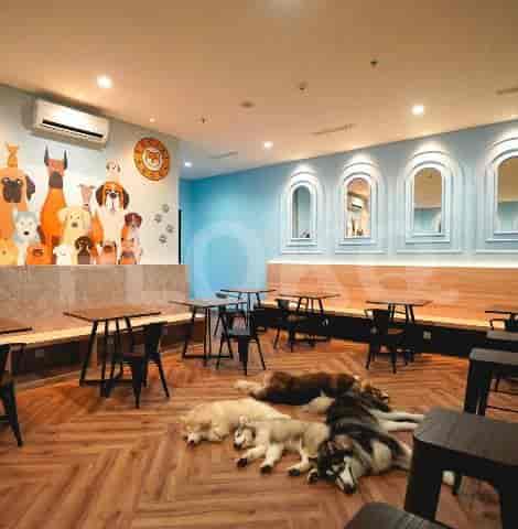 Sewa Apartemen Aerium Residence