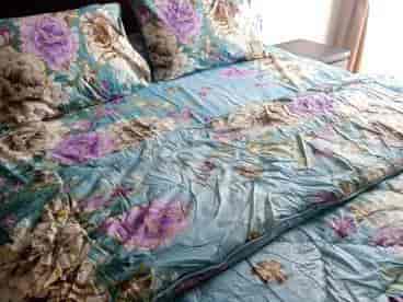 Bedroom with floral bedding and pillows.