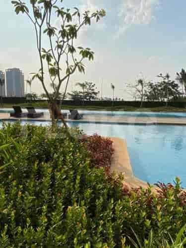 Outdoor pool area with greenery and lounge chairs.