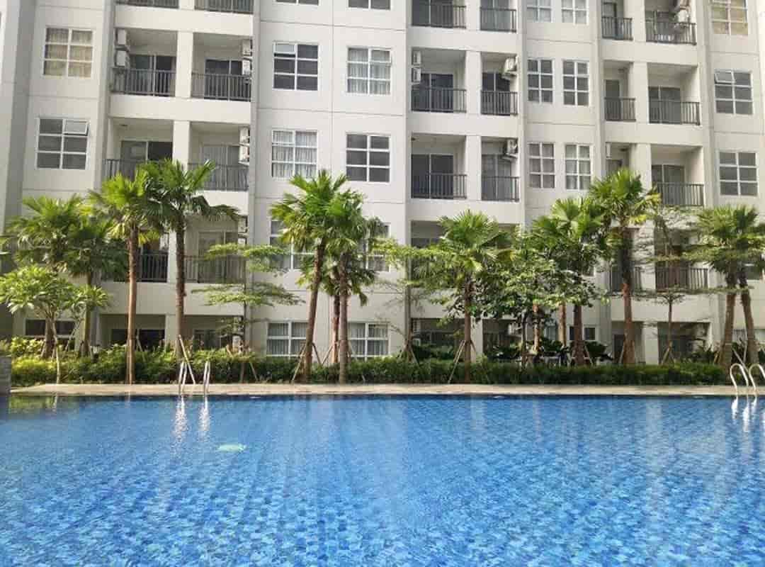 Kolam Renang Saveria Apartemen