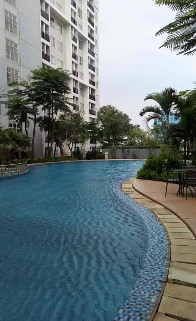 Kolam Renang Scientia Residences