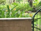 A view of a garden with flowers.