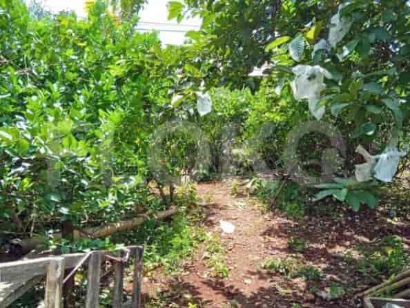 Disewakan Tanah Luas 1500 m2 di Jl Sawangan, Depok - TNRb85 1
