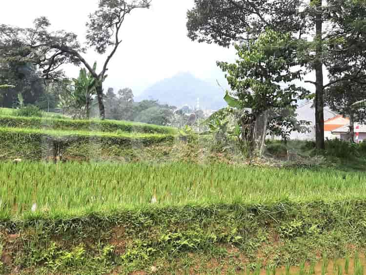 Dijual Tanah Luas 6000 m2 di Kawasan Wisata Pamijahan Bogor, Bogor - TNS85b 3