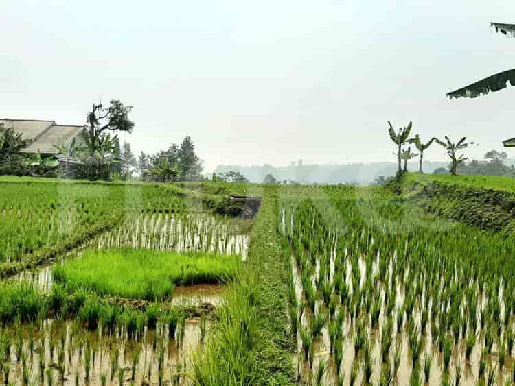 Dijual Tanah Luas 6000 m2 di Kawasan Wisata Pamijahan Bogor, Bogor - TNS85b 4