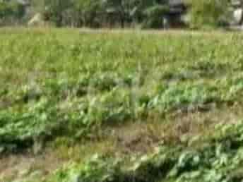 Dijual Tanah Luas 3265 m2 di Jl Raya Sukaringin, Bekasi - TNS753 3