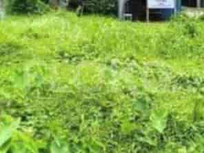 Dijual Tanah Luas 906 m2 di Tambun Utara, Bekasi - TNS8e6 3