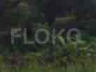 104 sqm, Land for Sale in Dekat INDOMARET CIJERUK, Bogor 1