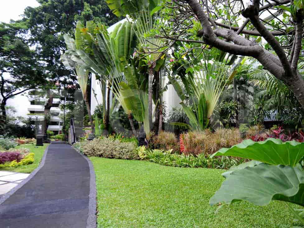 borobudur jogging_nw.jpg