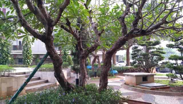 Sewa Apartemen Puri Park View Apartemen