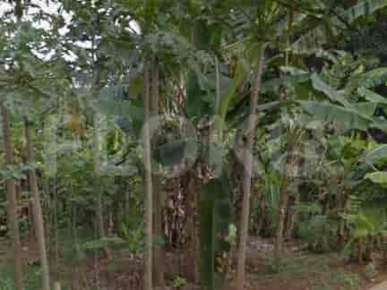 740 sqm, Land for Sale in 2km ke pintu Tol Jatikarya dan kota wisata, Bekasi 2