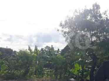 Dijual Tanah Luas 2852 m2 di Jl Raya Sentul, Sentul - TNSc5c 3