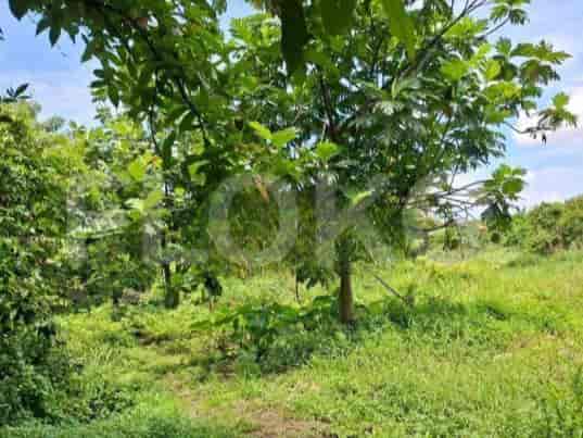 Disewakan Tanah Luas 2200 m2 di Jl Raya Cipondoh, Tangerang - TNR35b 1