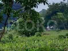 110 sqm, Land for Sale in Dekat Umaku Sushi Bekasi B4, Cibubur 3
