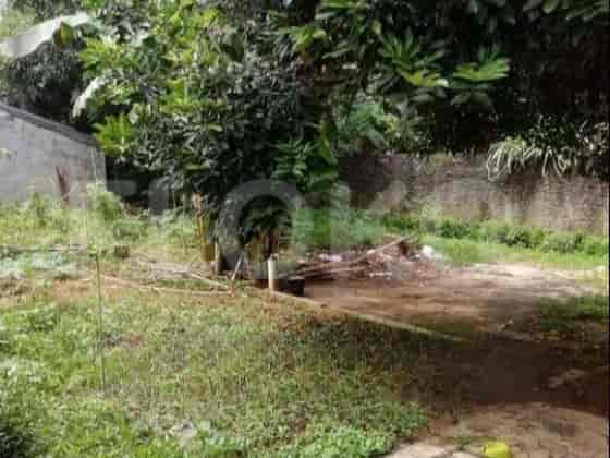 Dijual Tanah Luas 640 m2 di Jl Kebon Kopi, Bintaro - TNS6e7 2