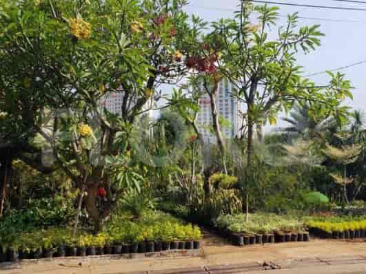 Dijual Tanah Luas 928 m2 di Jl Masjid Anur, Permata Hijau 1