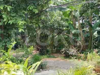 Dijual Tanah Luas 1290 m2 di Jl Sirua, Ciputat - TNS581 2