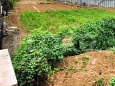 Dijual Tanah Luas 649 m2 di Jl Raya Babelan, Bekasi - TNSf0b 2