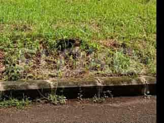 Dijual Tanah Luas 267 m2 di Aquatic garden, Bekasi 1