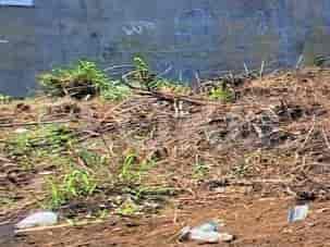 130 sqm, Land for Sale in Dekat Hari Hari Dramaga A6, Bogor - TNSfcc 1