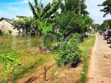 Dijual Tanah Luas 649 m2 di Jl Raya Babelan, Bekasi - TNSbb3 3