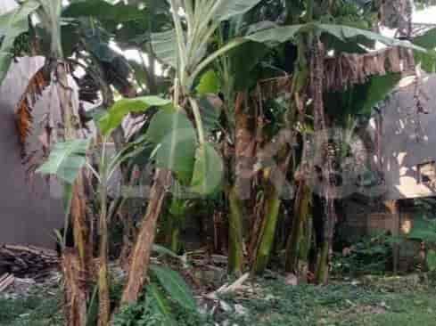 Dijual Tanah Luas 101 m2 di Jl Raya Pancoran Mas, Pancoran Mas - TNS0b1 1