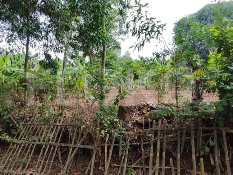 Dijual Tanah Luas 2717 m2 di Jl Dawuan Barat, Karawang - TNSd3e 1