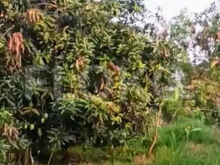 Dijual Tanah Luas 1584 m2 di Muara Gembong, Bekasi - TNS00a 2
