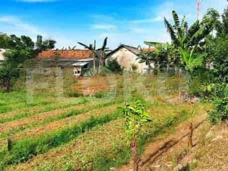 Dijual Tanah Luas 649 m2 di Jl Raya Babelan, Bekasi - TNSbb3 2
