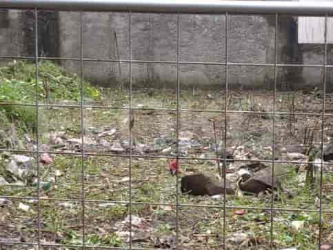 Dijual Tanah Luas 209 m2 di Mustikasari, Bekasi - TNSbd0 2