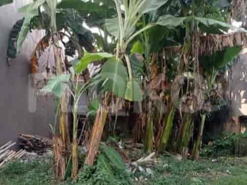 Dijual Tanah Luas 101 m2 di Jl Raya Pancoran Mas, Pancoran Mas - TNS0b1 3
