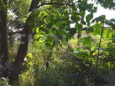 347 sqm, Land for Rent in Jl Pemda Tegar Beriman, Bogor - TNRcc0 1