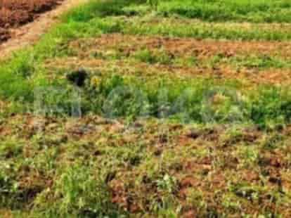 2478 sqm, Land for Sale in Pinggir Jalan Di Babelan, Bekasi 1