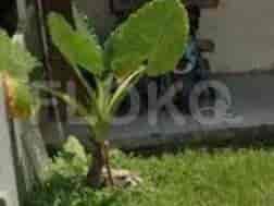 500 sqm, Land for Sale in Masuk dari jalan Sriamur, Bekasi 3
