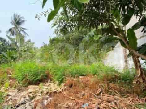 648 sqm, Land for Sale in Jl Raya Panjang, Duri - TNS299 3