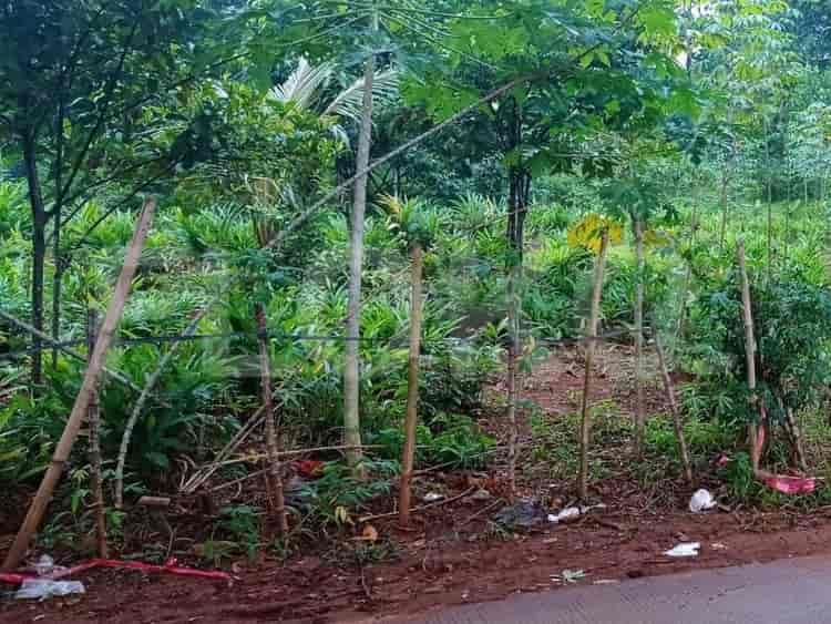 Dijual Tanah Luas 715 m2 di Dekat dengan jalan Mekarsari dan rencana pintu JORR 2, Bekasi - TNS07b 1
