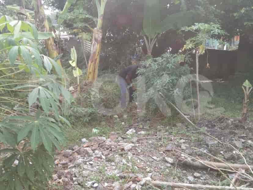 Disewakan Tanah Luas 586 m2 di Jl Raya Tanah Baru, Bogor 1
