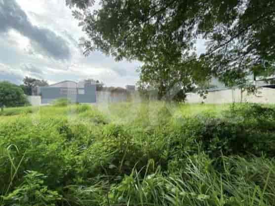 Dijual Tanah Luas 2000 m2 di Jl Panjang, Kedoya 3
