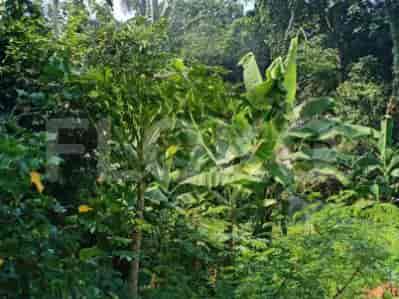 Disewakan Tanah Luas 400 m2 di Jl Raya TB Simatupang, TB Simatupang - TNR2e4 2