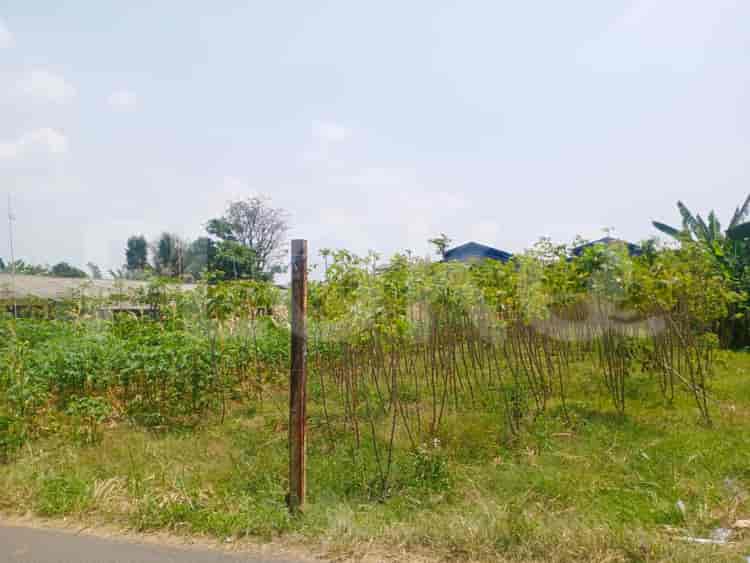 1630 sqm, Land for Rent in Jl Sukaraja, Bogor - TNRe34 1