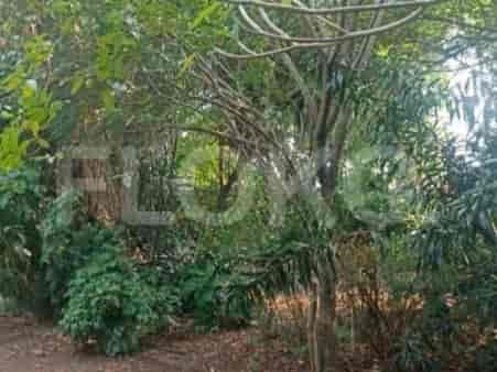 Dijual Tanah Luas 2780 m2 di Jl Cendrawasih, Ciputat - TNSd90 2