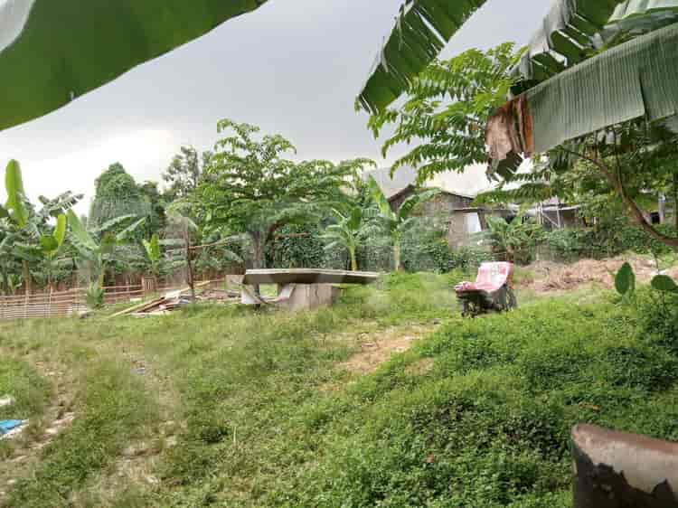 Disewakan Tanah Luas 3200 m2 di Jl Pondok Kelapa, Duren Sawit - TNRbc0 2