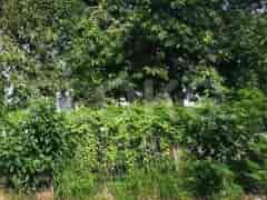 580 sqm, Land for Sale in Jl Katamaran Indah, Penjaringan - TNSf4c 3