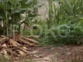 400 sqm, Land for Sale in Jl Raya Meruya, Meruya 2