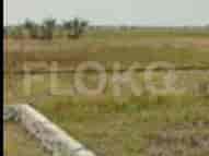 Dijual Tanah Luas 32499 m2 di Jl. Desa sukamanah, km 2, Bekasi - TNS395 1