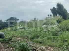 Disewakan Tanah Luas 3000 m2 di Jl Raya Sawangan, Depok - TNR081 1