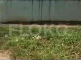 Dijual Tanah Luas 602 m2 di Jatimurni, Bekasi - TNS34c 2