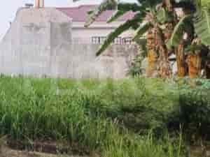 508 sqm, Land for Sale in Jl Cluster Modernland, Tangerang - TNSe8e 1