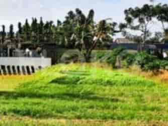 2478 sqm, Land for Sale in Pinggir Jalan Di Babelan, Bekasi 2